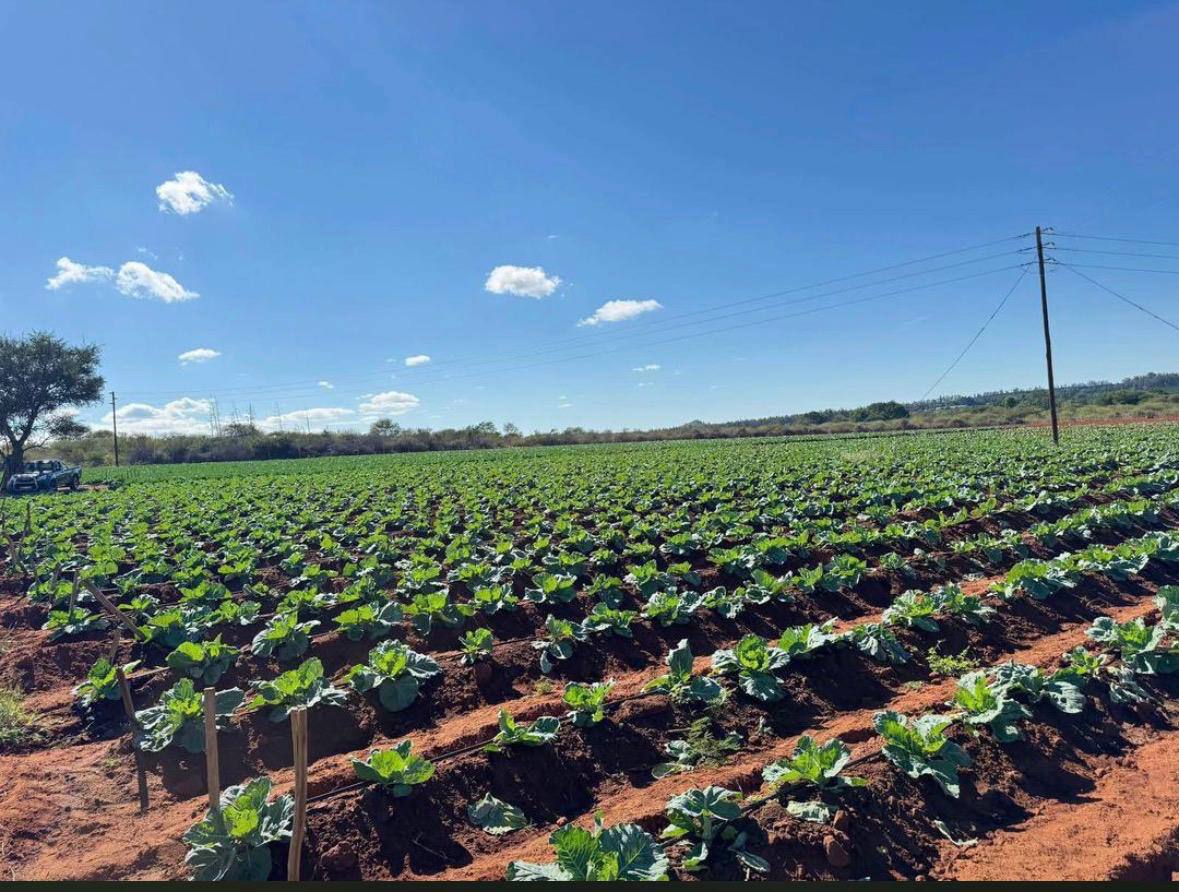 Agriboost Crop Farming