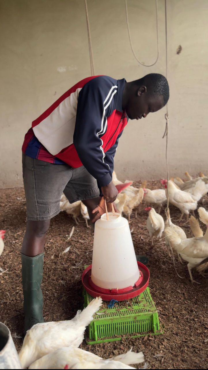 Poultry Farming at Agriboost